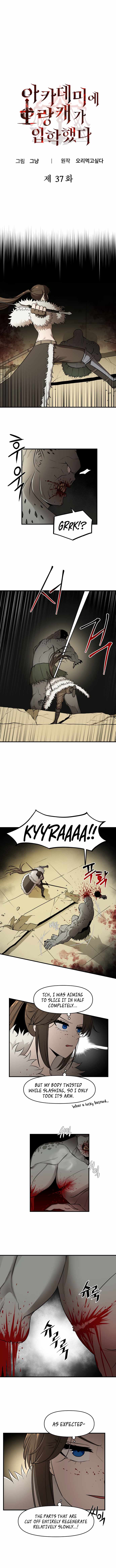 A Barbarian Was Admitted to the Academy Chapter 37 page 0