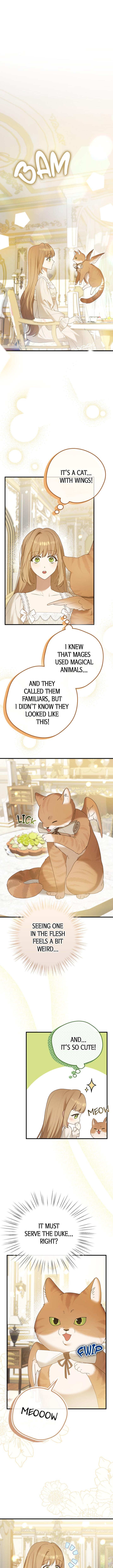 A Golden Fate That Transcends Time Chapter 13 page 0