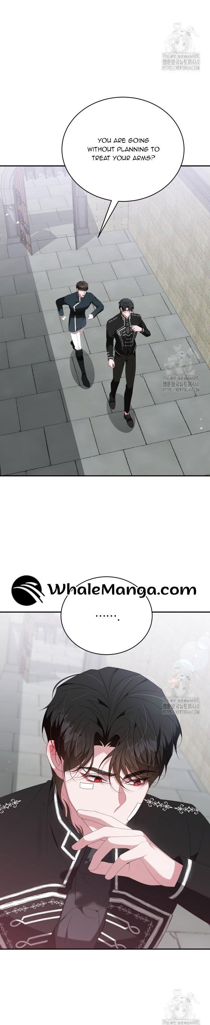 A Guide to the Reality of Villain Extras Chapter 20 page 27