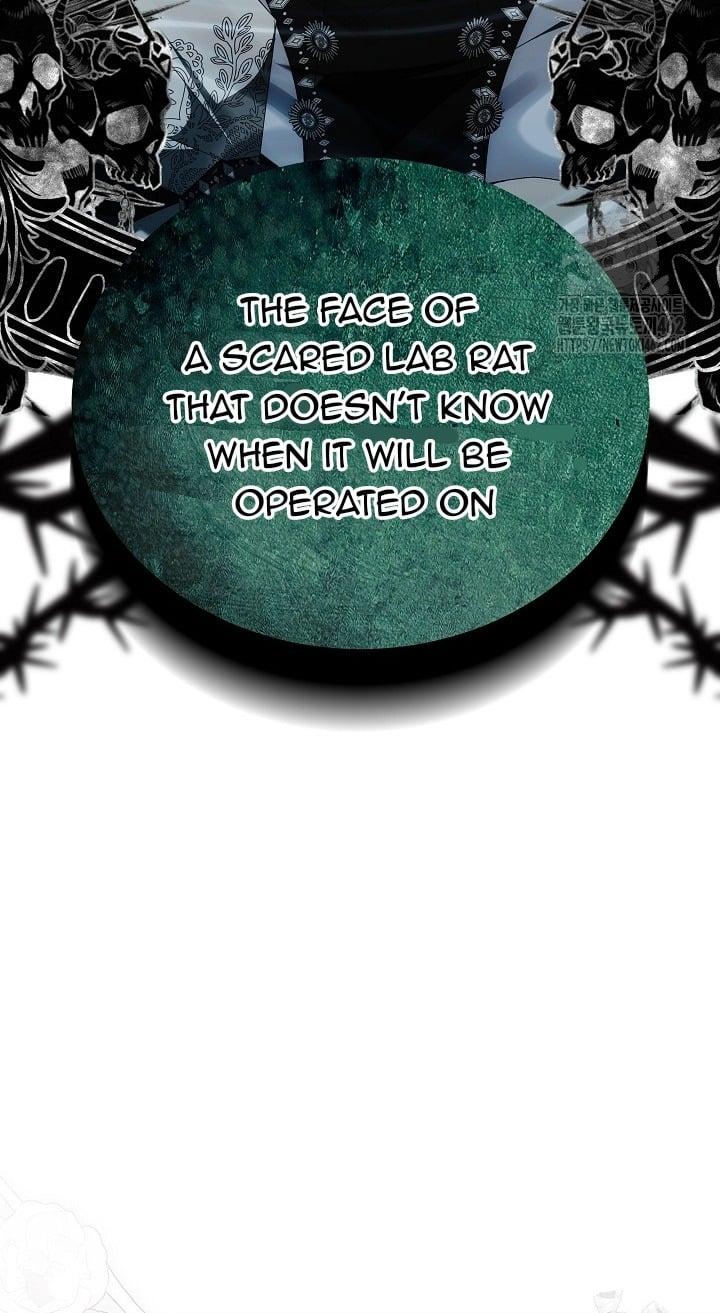 A Guide to the Reality of Villain Extras Chapter 24 page 31