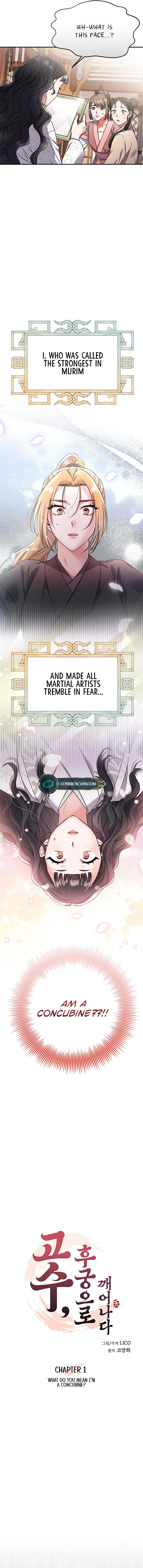 A Master, Who Woke up as a Concubine Chapter 1 page 8