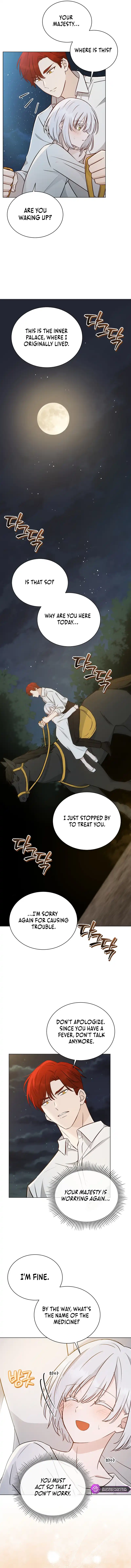 A Mouse Biting a Dragon’s Tail Chapter 8 page 8