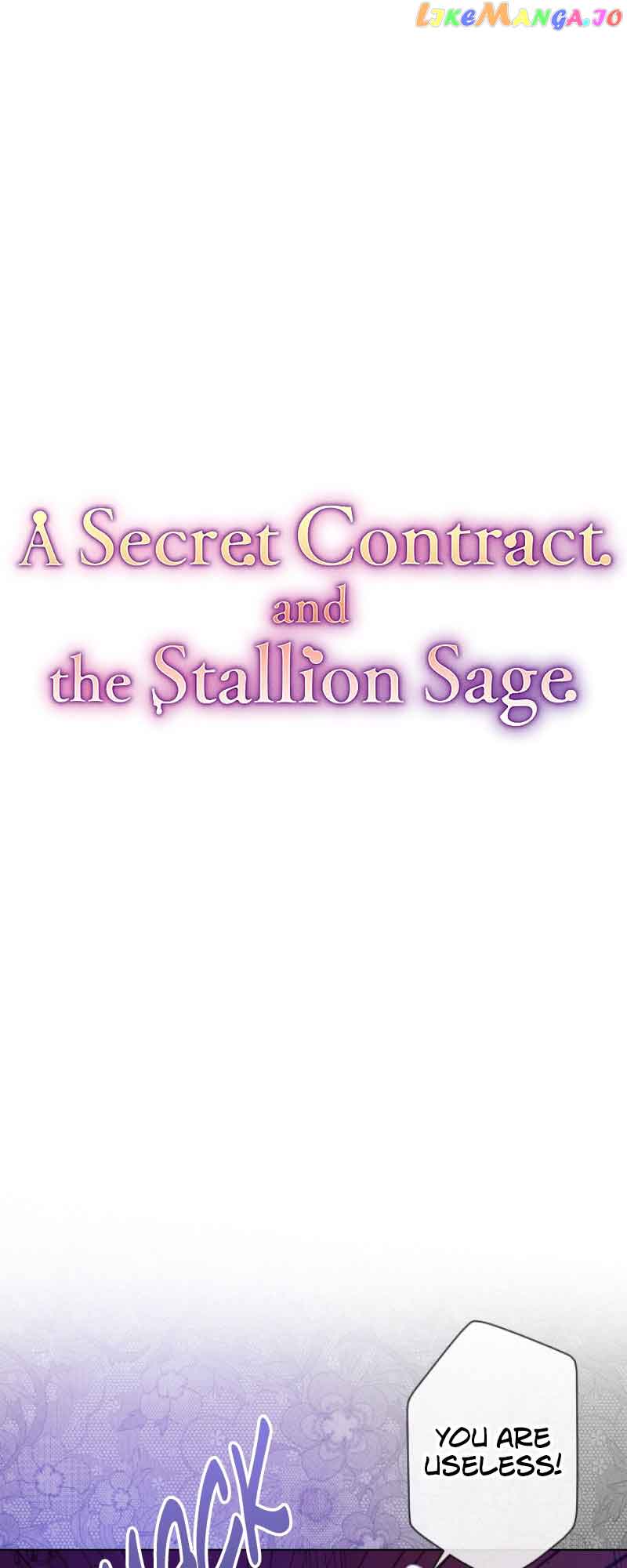 A Secret Contract and the Stallion Sage Chapter 12 page 25