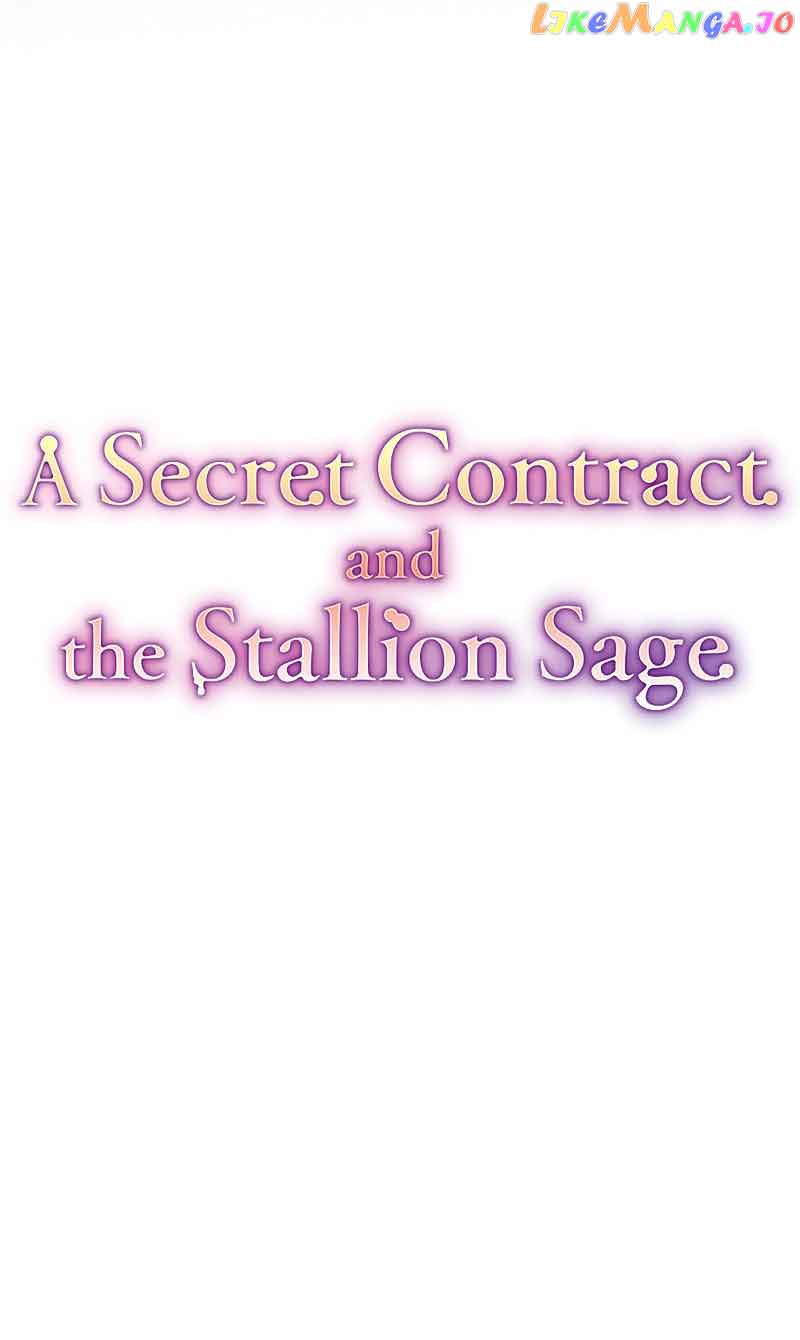A Secret Contract and the Stallion Sage Chapter 13 page 14