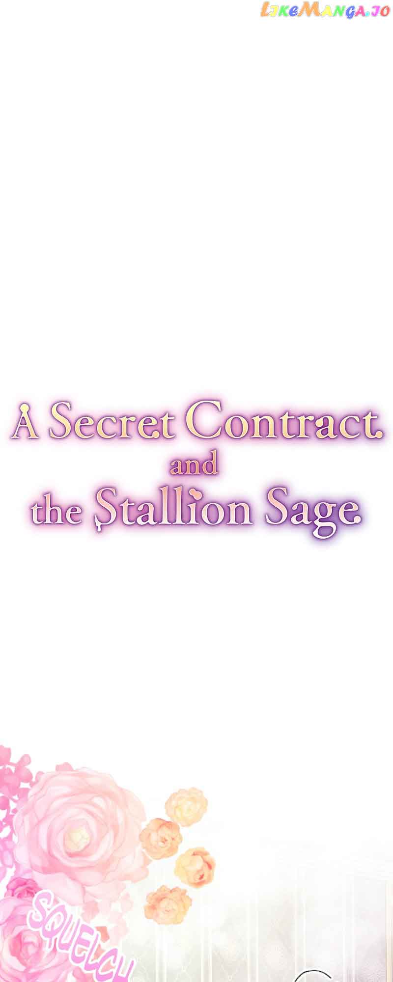 A Secret Contract and the Stallion Sage Chapter 19 page 11