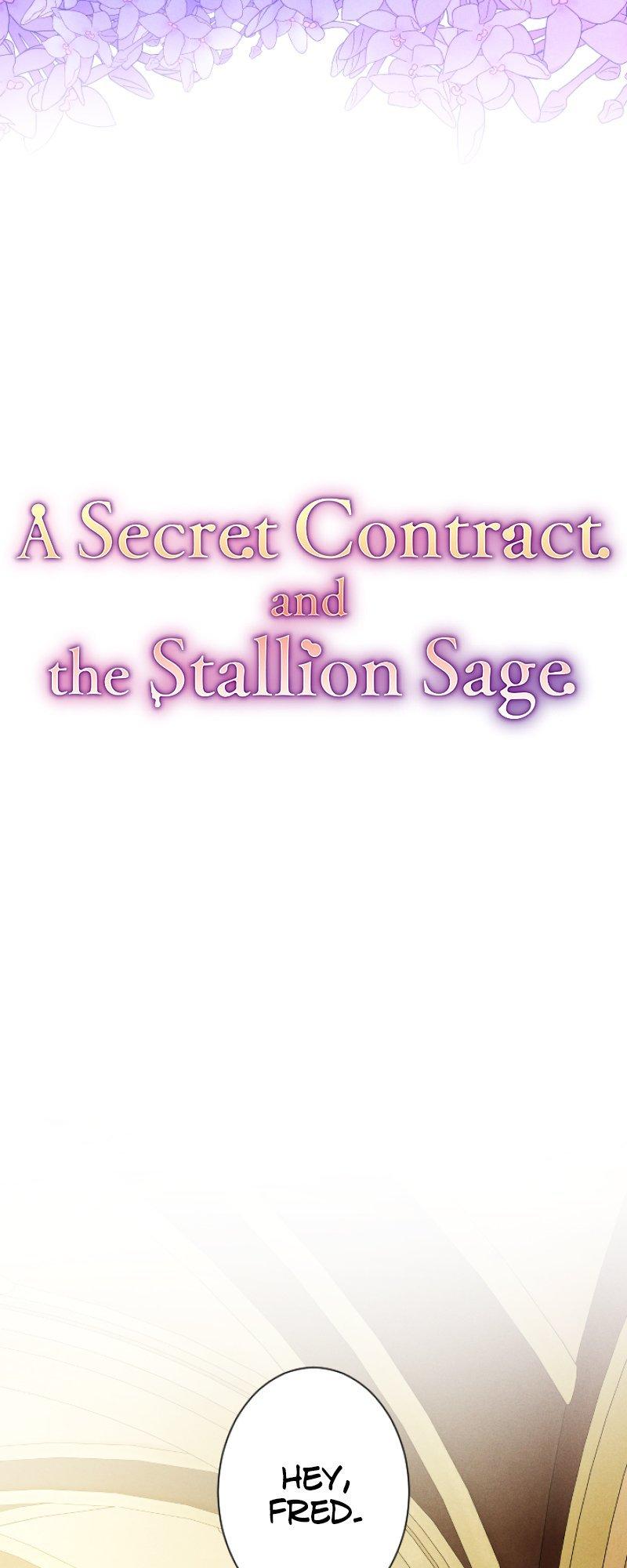 A Secret Contract and the Stallion Sage Chapter 38 page 13