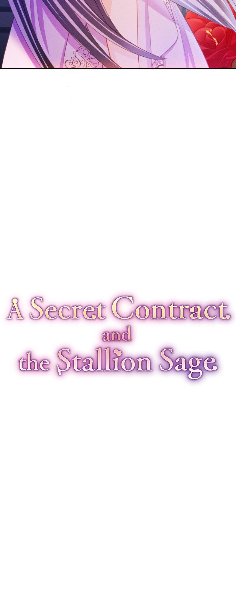 A Secret Contract and the Stallion Sage Chapter 41 page 7
