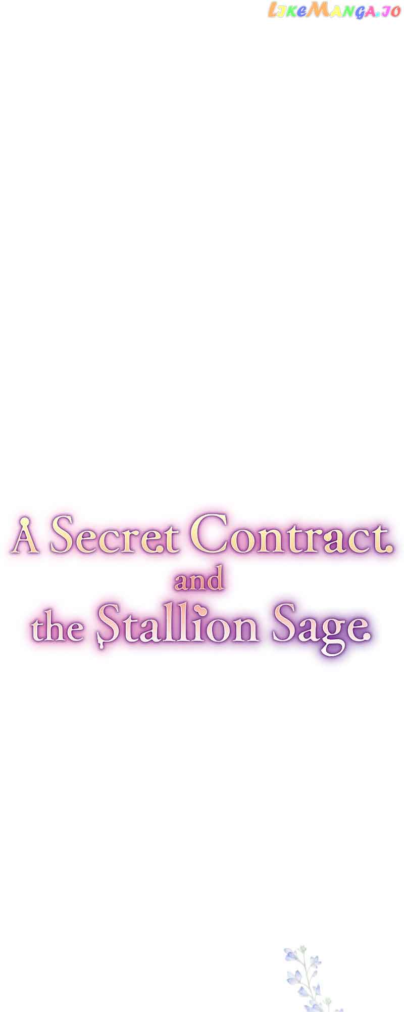 A Secret Contract and the Stallion Sage Chapter 5 page 13