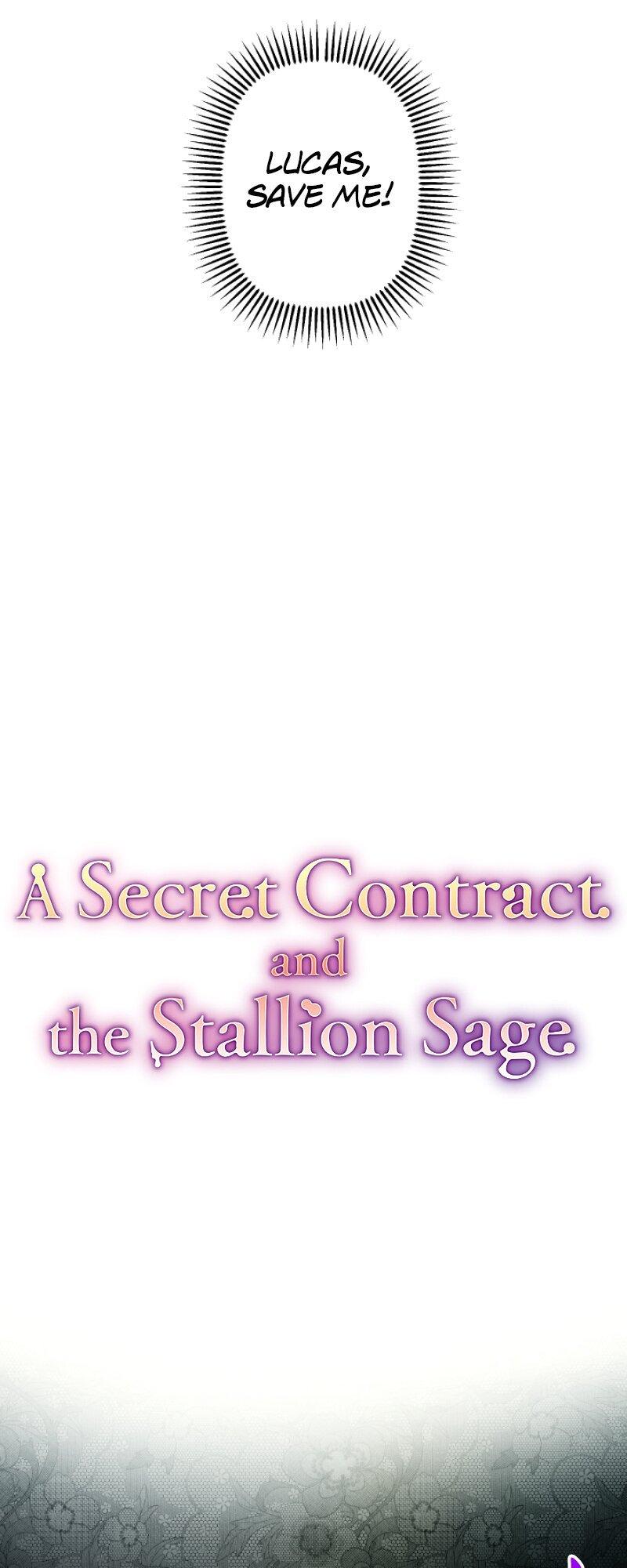 A Secret Contract and the Stallion Sage Chapter 54 page 12