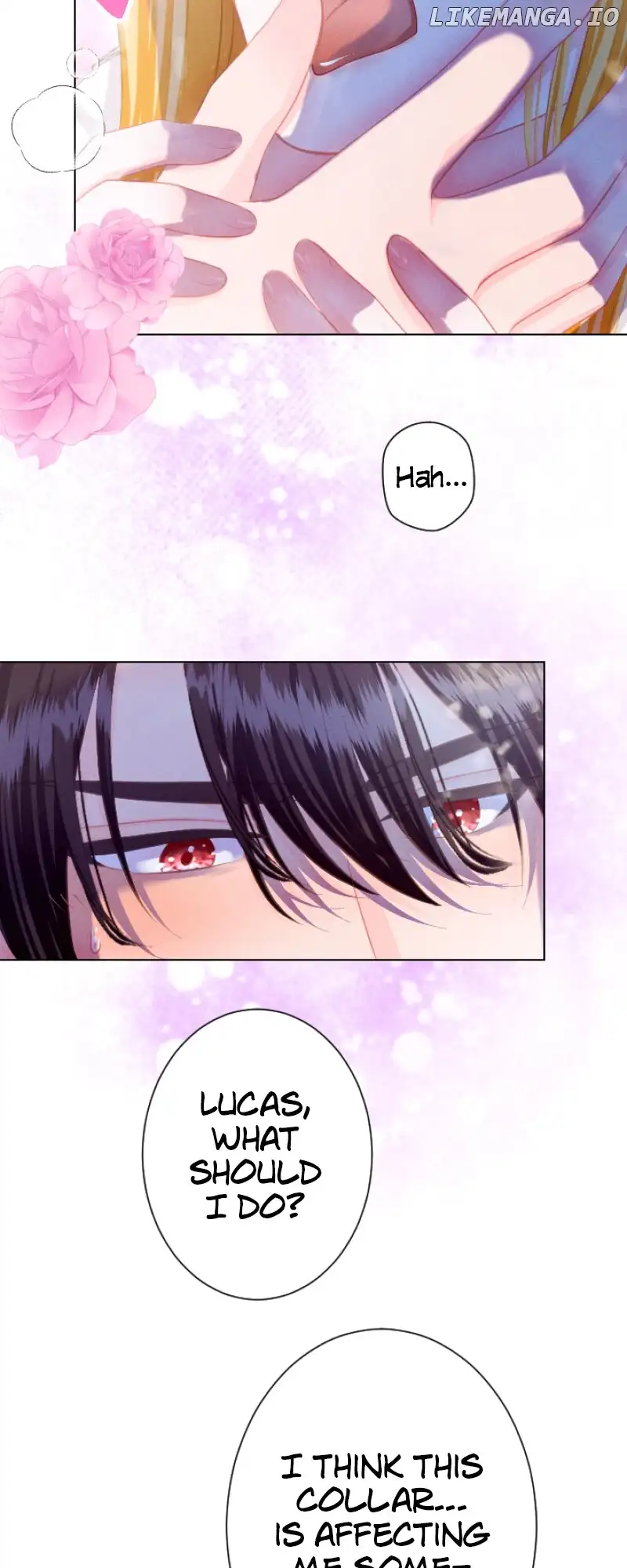 A Secret Contract and the Stallion Sage Chapter 58 page 50