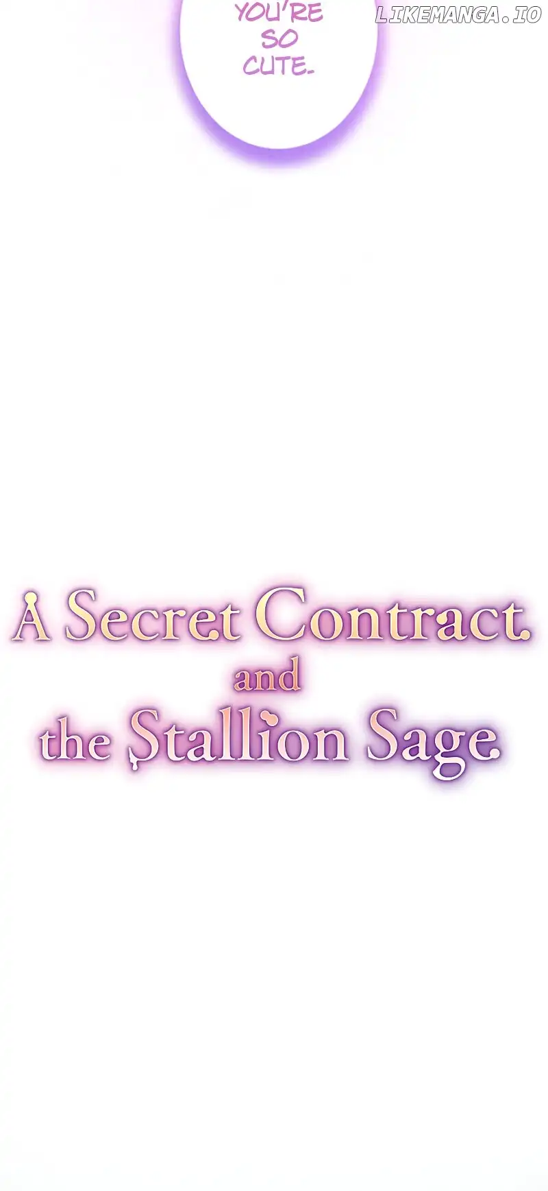 A Secret Contract and the Stallion Sage Chapter 61 page 28