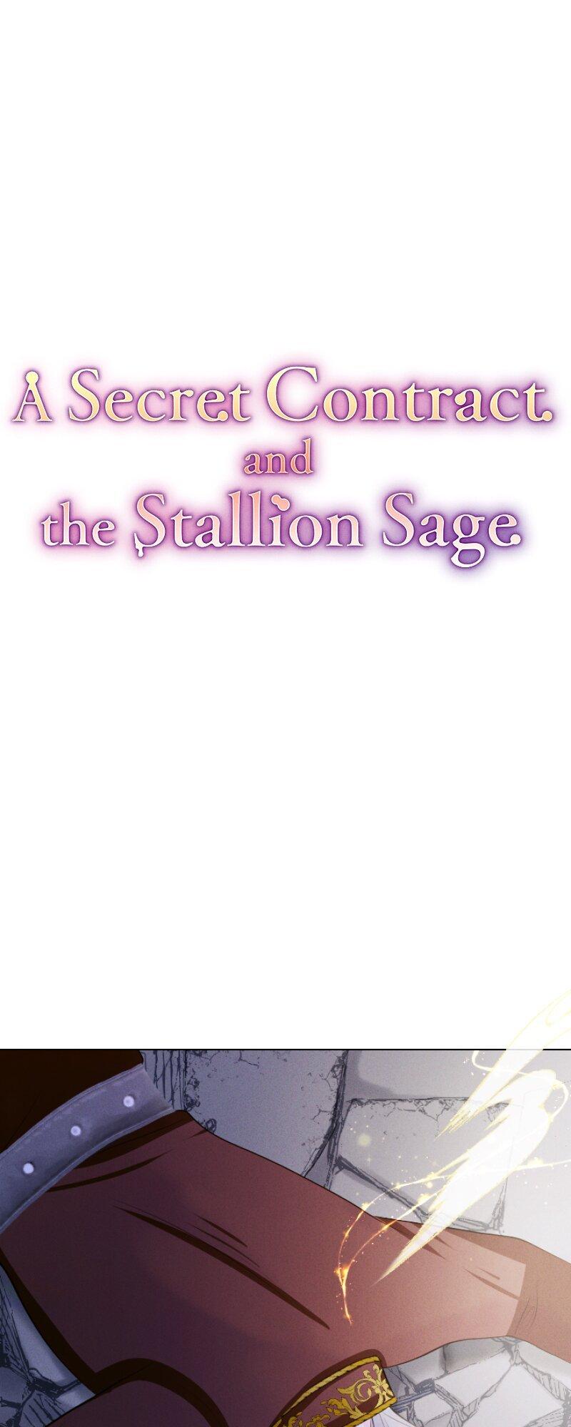 A Secret Contract and the Stallion Sage Chapter 66 page 29