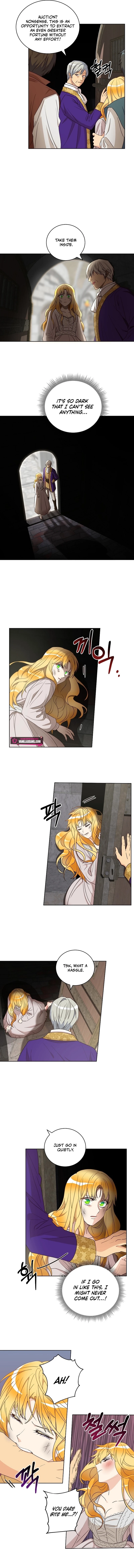 Acidity of Regret Chapter 5 page 1