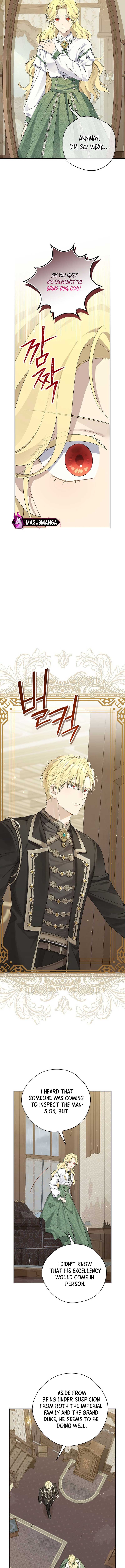Actually, I Was the Real One Chapter 120 page 8
