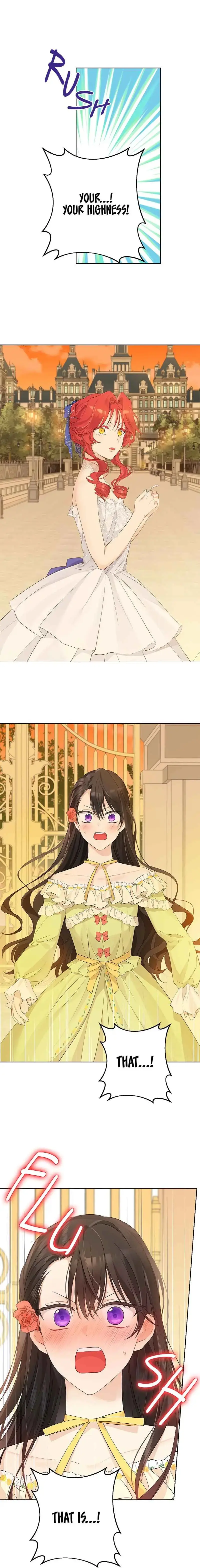 Actually, I Was the Real One Chapter 29 page 13