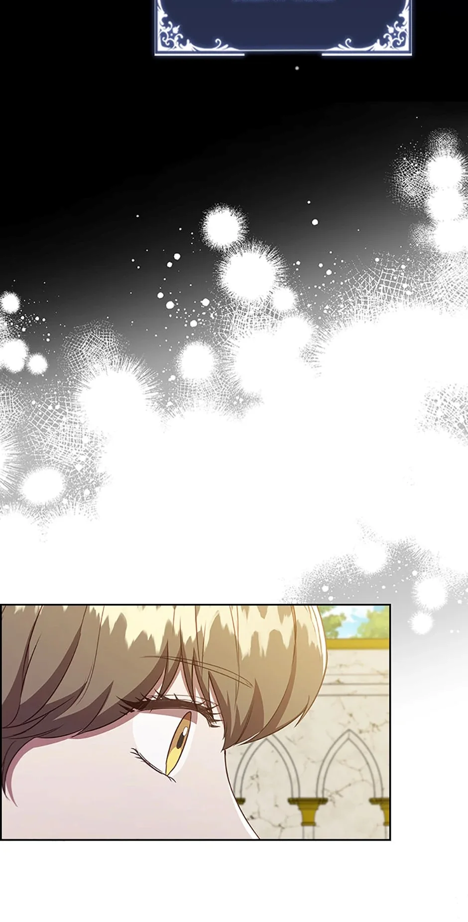 An Extra In The Family Is The First To Be Abandoned Chapter 94 page 9