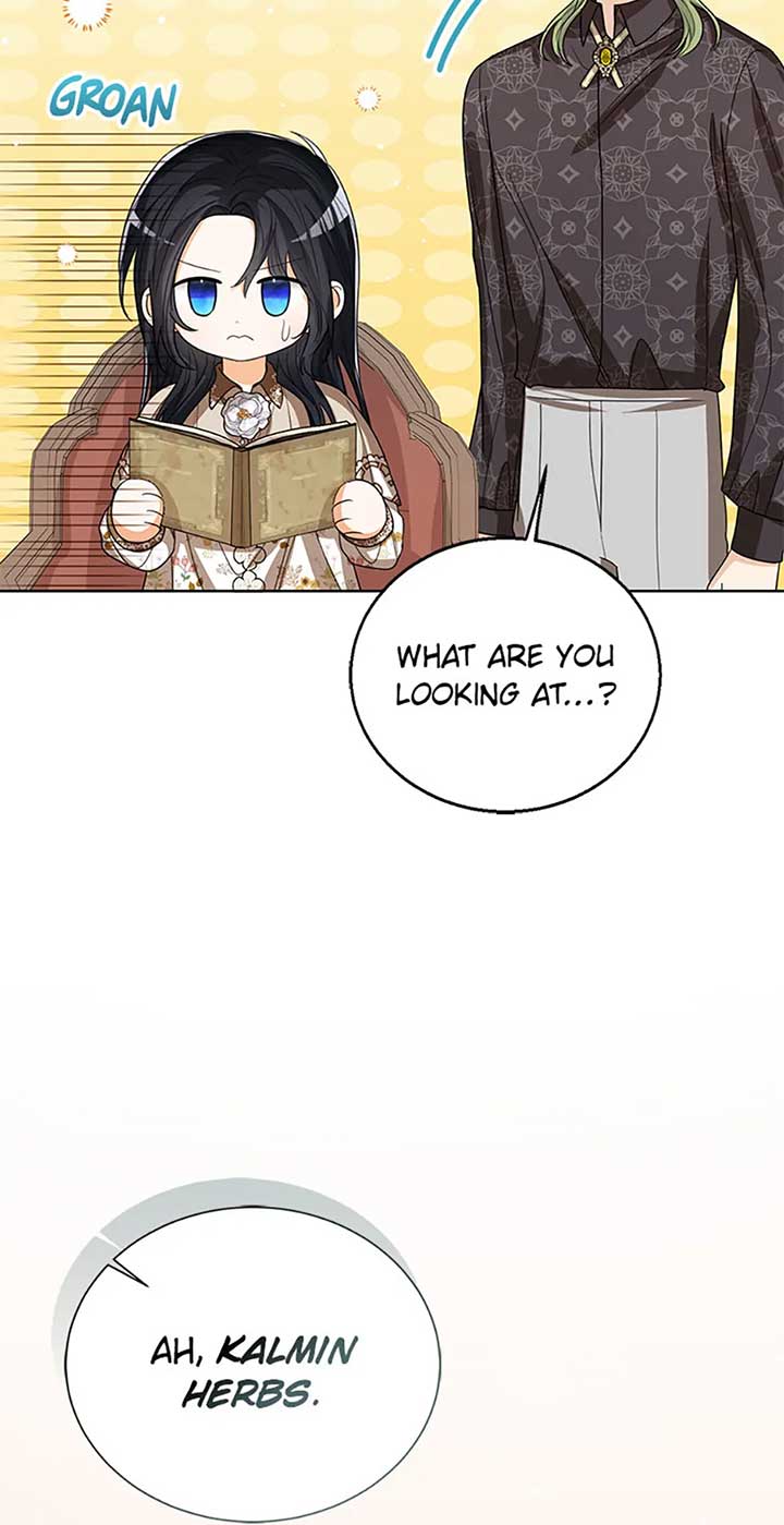 Baby Princess Through the Status Window Chapter 87 page 17
