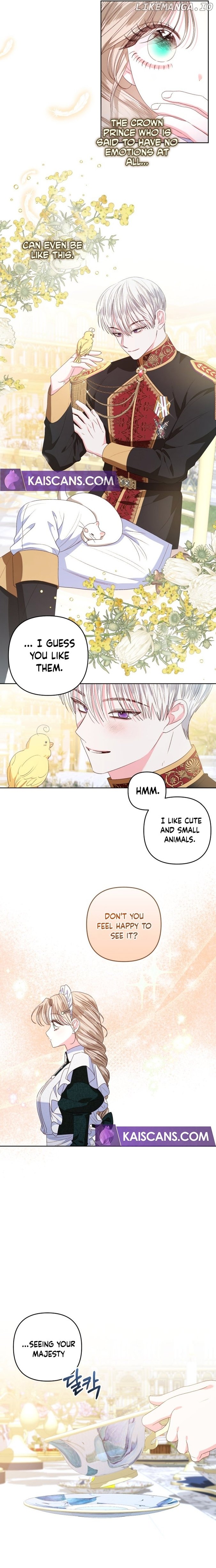 Being a Maid is Better than Being a Princess Chapter 24 page 13