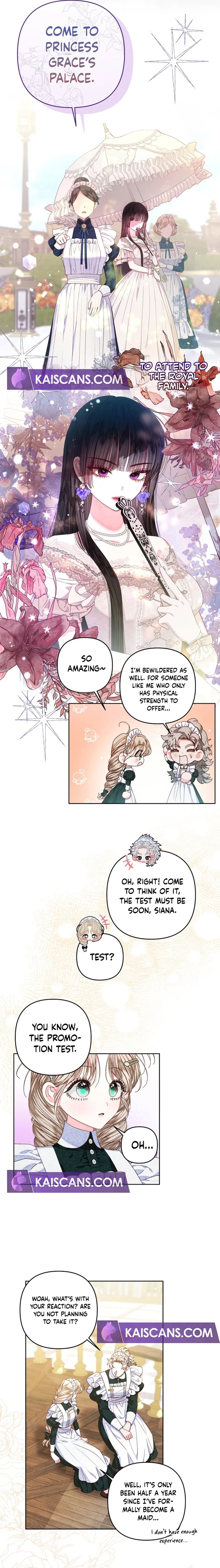 Being a Maid is Better than Being a Princess Chapter 25 page 7