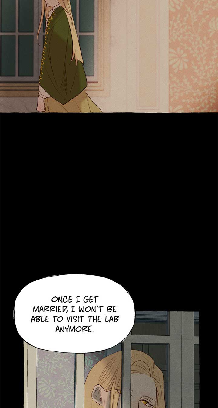Beyond Walpurgis Chapter 26 page 44