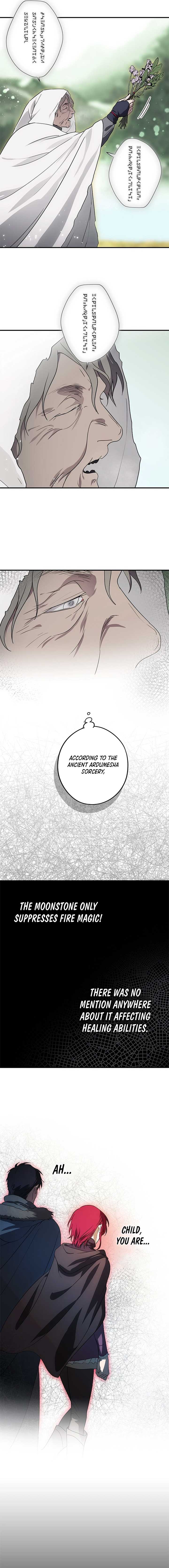 Blinded by the Setting Sun Chapter 181 page 5