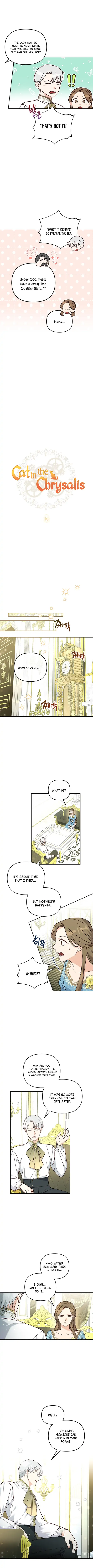 Cat in the Chrysalis Chapter 16 page 1