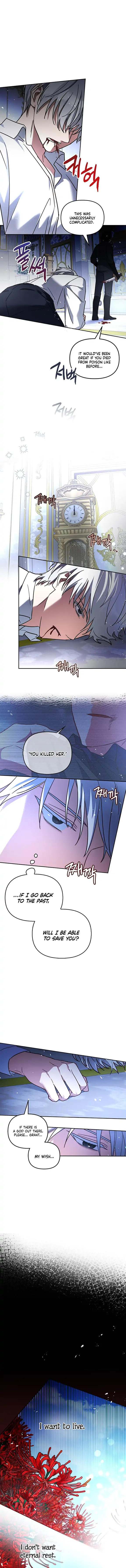 Cat in the Chrysalis Chapter 17 page 8