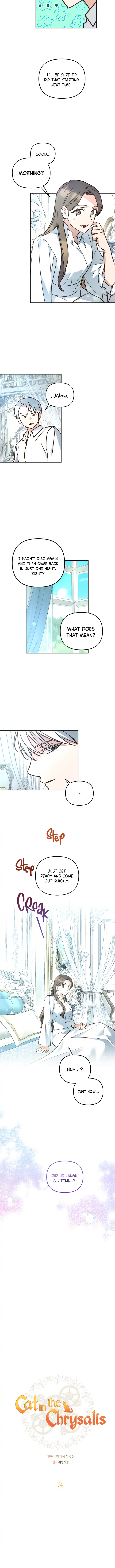 Cat in the Chrysalis Chapter 24 page 7