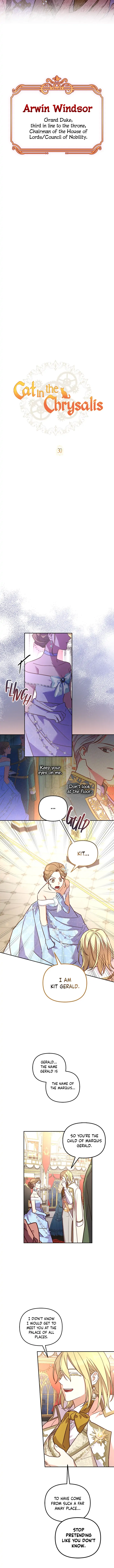 Cat in the Chrysalis Chapter 30 page 6