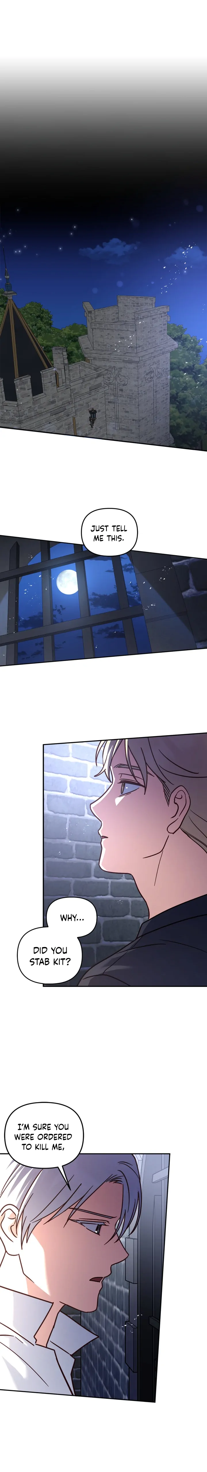 Cat in the Chrysalis Chapter 48 page 0