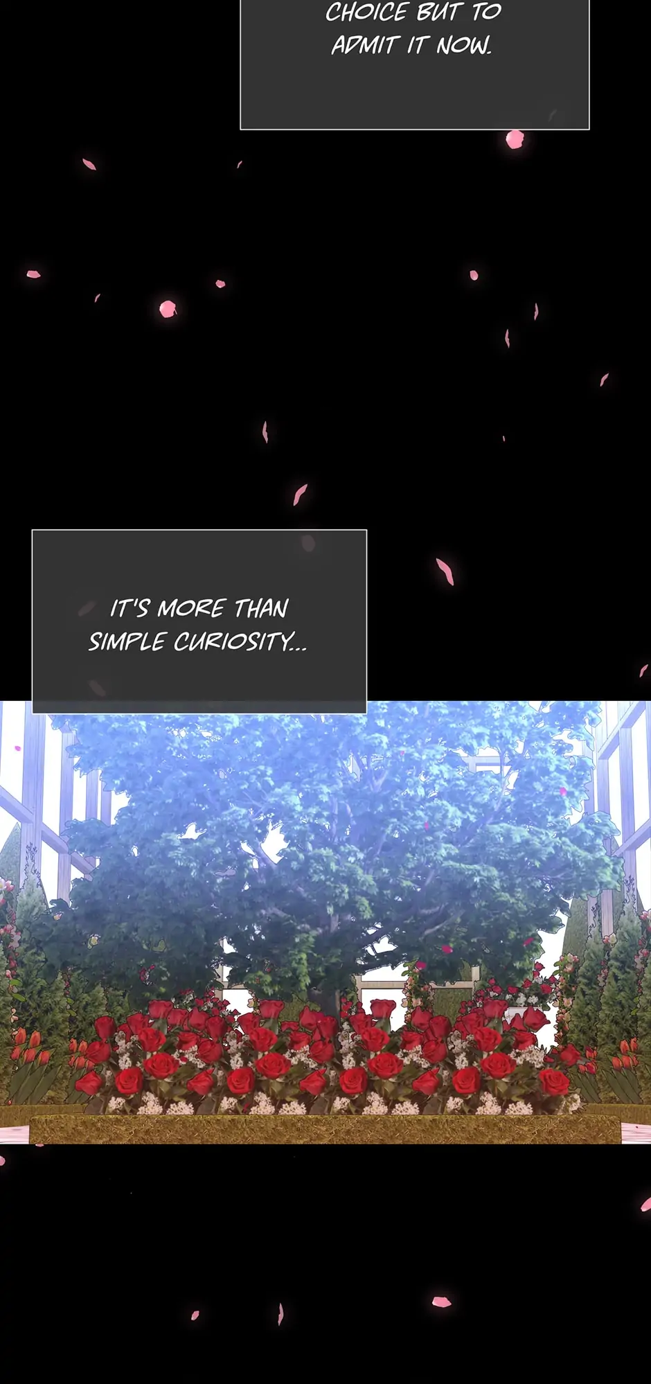 Charlotte Has Five Disciples Chapter 137 page 44