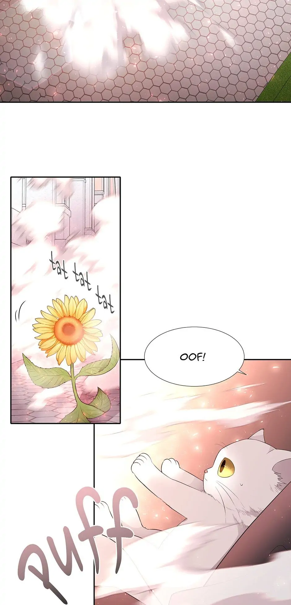 Charlotte Has Five Disciples Chapter 62 page 13