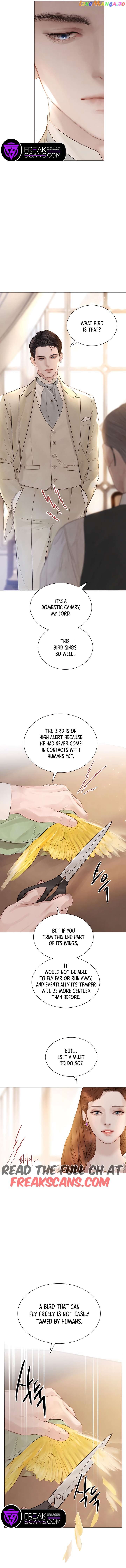 Cry, Even Better If You Beg Chapter 11 page 9