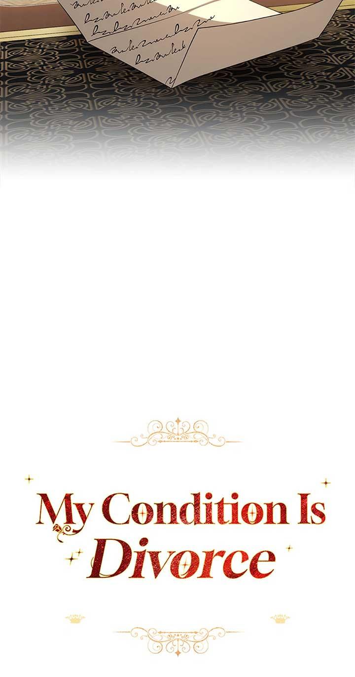 Divorce is the Condition Chapter 29 page 14