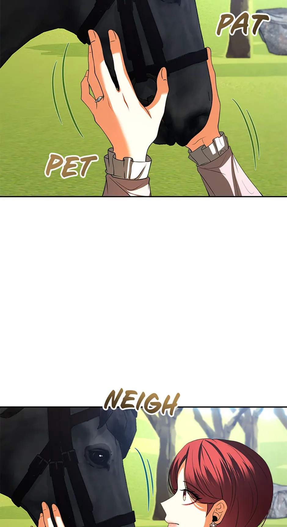 Divorce is the Condition Chapter 34 page 48
