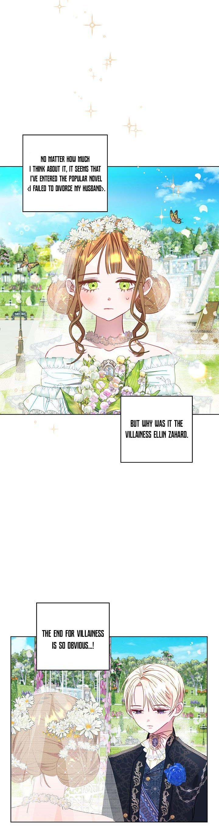 Divorce plan with husband failed Chapter 1 page 2