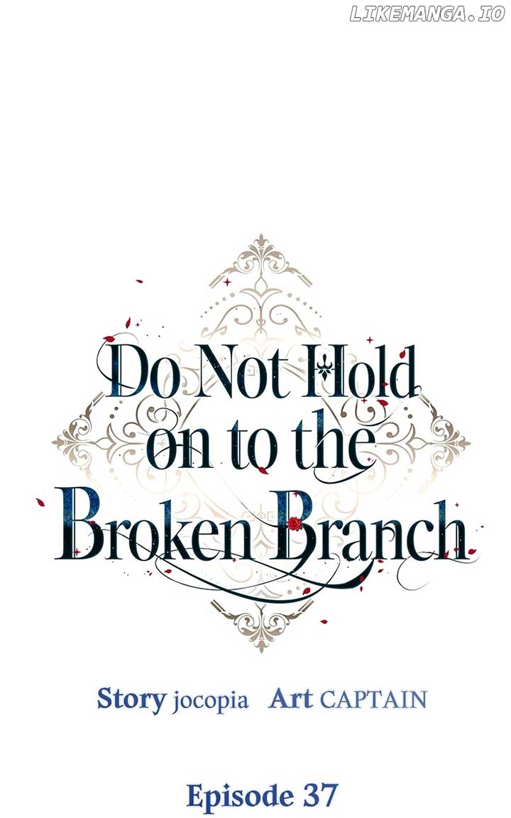 Don’t Grab the Broken Branch Chapter 37 page 12