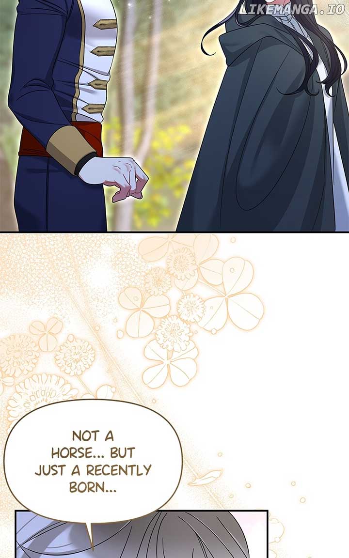 Don’t Grab the Broken Branch Chapter 39 page 47