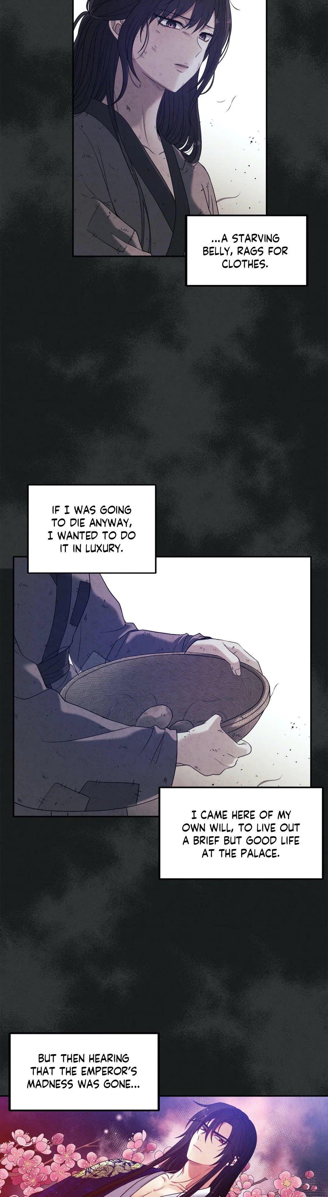 Elixir of the Sun Chapter 40 page 14
