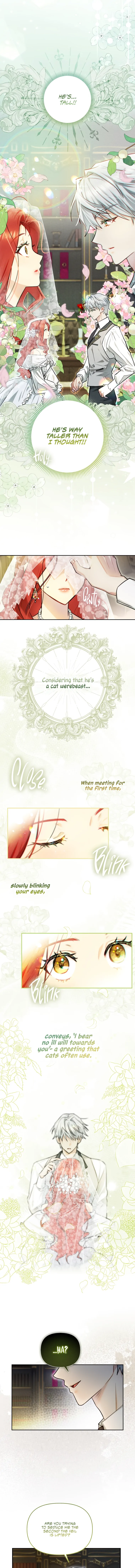 Even Though I Transmigrated as a Villainess, I’d Rather Raise a Cat Chapter 1 page 15
