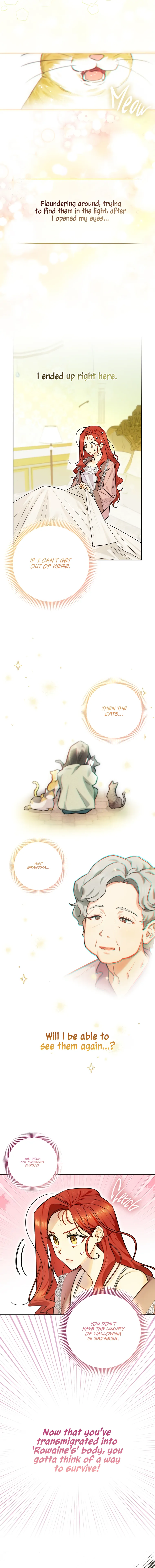 Even Though I Transmigrated as a Villainess, I’d Rather Raise a Cat Chapter 1 page 6