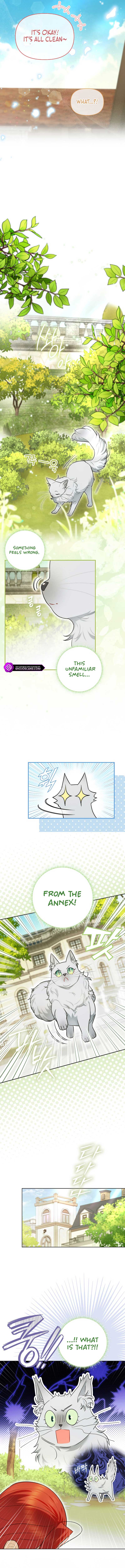 Even Though I Transmigrated as a Villainess, I’d Rather Raise a Cat Chapter 13 page 11