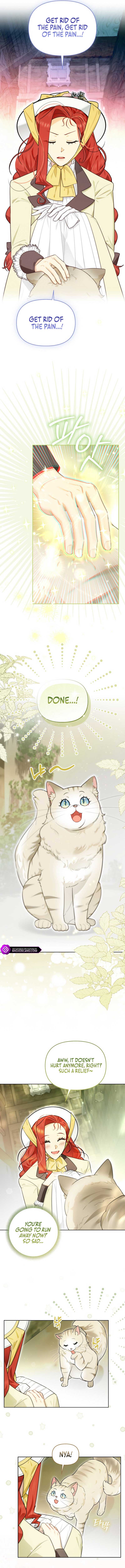 Even Though I Transmigrated as a Villainess, I’d Rather Raise a Cat Chapter 13 page 8