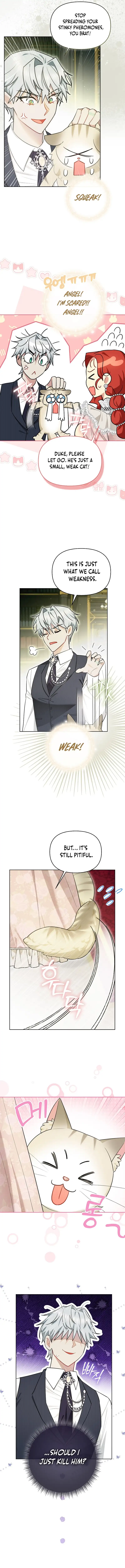 Even Though I Transmigrated as a Villainess, I’d Rather Raise a Cat Chapter 15 page 2