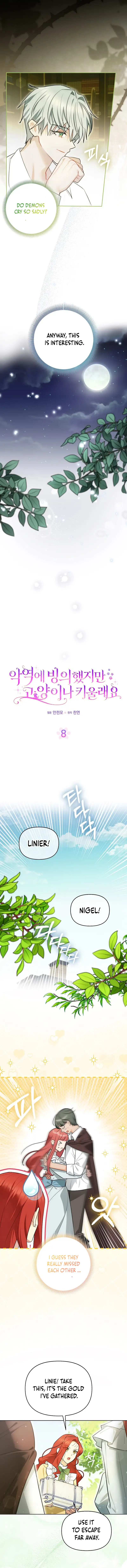 Even Though I Transmigrated as a Villainess, I’d Rather Raise a Cat Chapter 8 page 1
