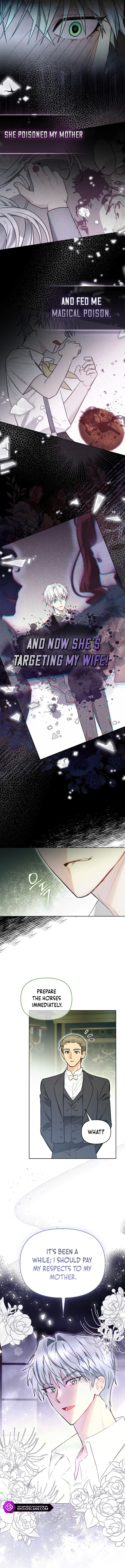 Even Though I Transmigrated as a Villainess, I’d Rather Raise a Cat Chapter 9 page 13