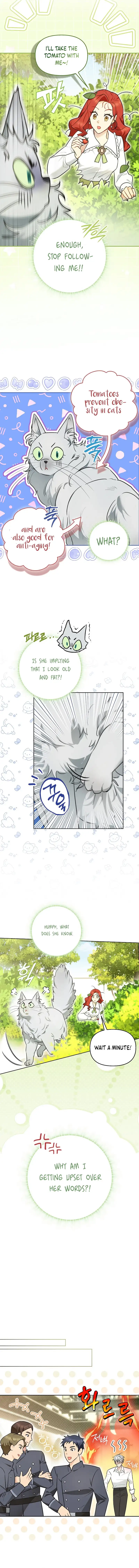 Even Though I Transmigrated as a Villainess, I’d Rather Raise a Cat Chapter 9 page 3