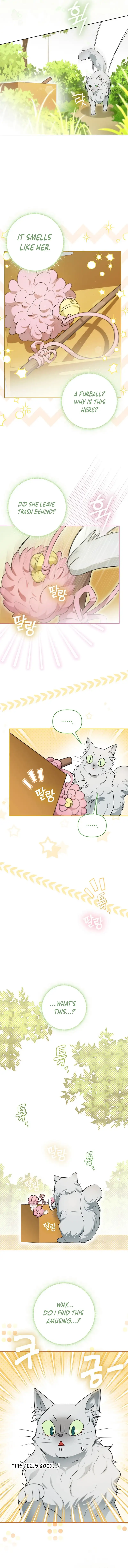 Even Though I Transmigrated as a Villainess, I’d Rather Raise a Cat Chapter 9 page 6