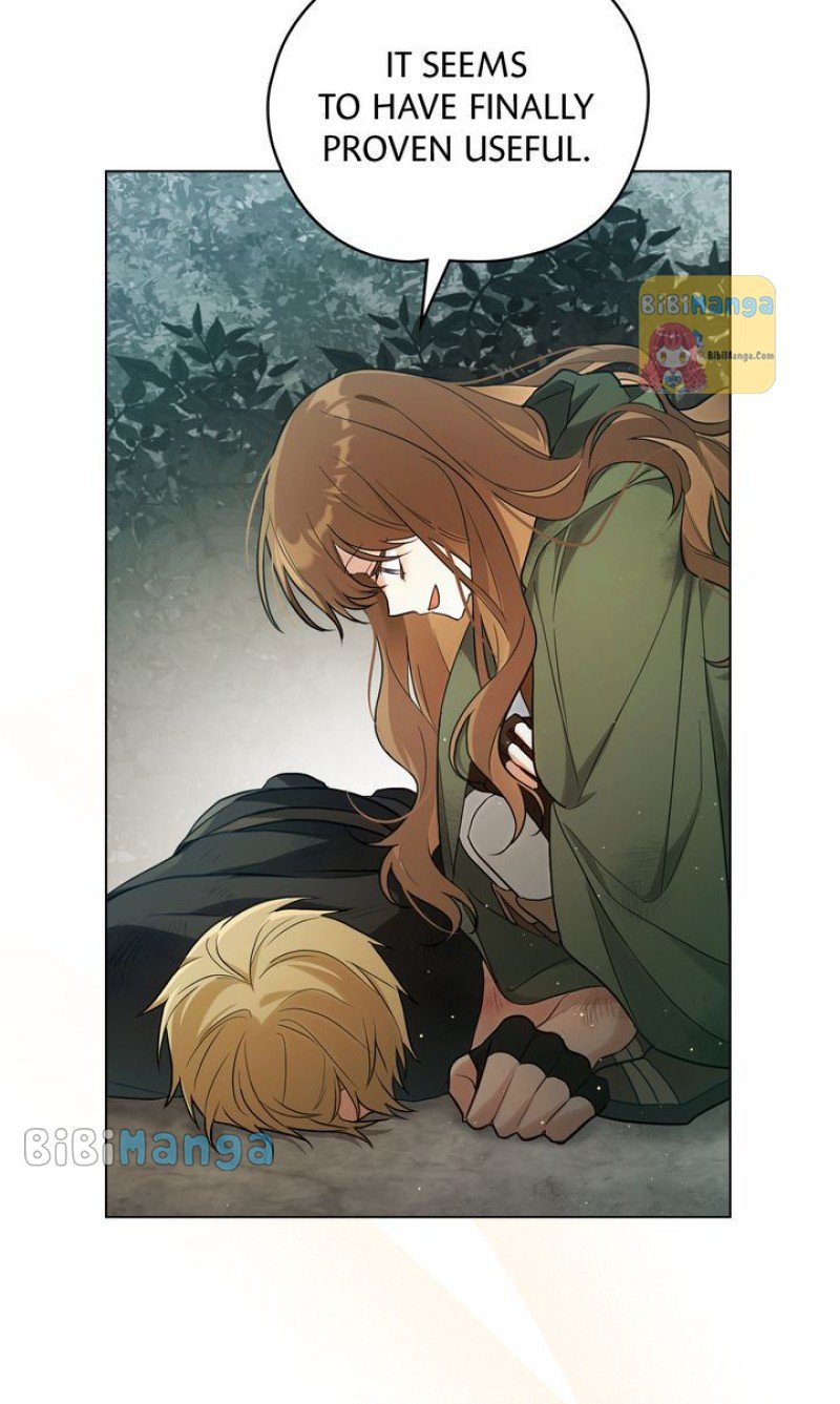 Falling for a Dying Princess Chapter 11 page 13
