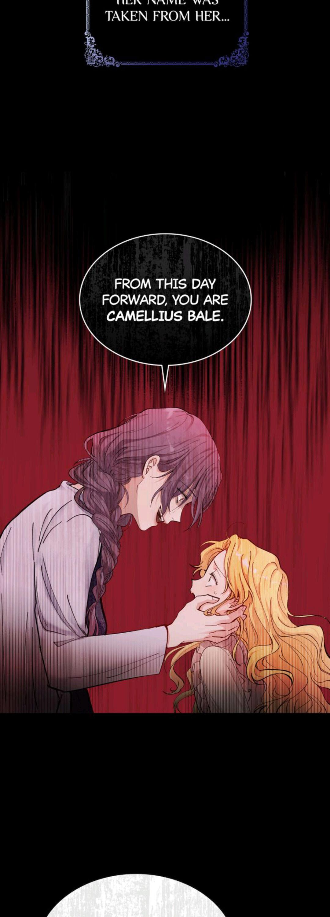Finding Camellia Chapter 0 page 12